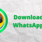 Pub WhatsApp
