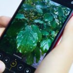 Photo Studio Pro