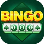 Bingo 101