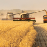 Harvest Town MOD