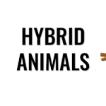 Hybrid Animals MOD