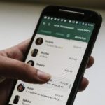 Whatsapp Beta