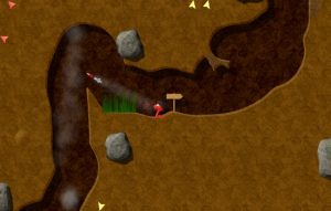 Annelids MOD 5