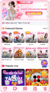 77Live 1