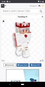 NameMC 6
