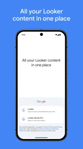 Looker 1