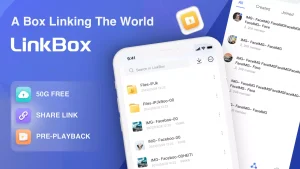 LinkBox 1