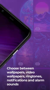 ZEDGE MOD 2